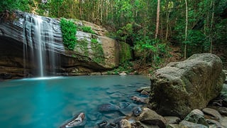 Sunshine-Coast-unesco-biosphere