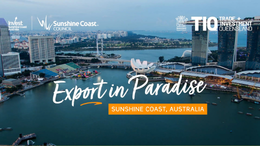 isc-edm-image-Export-in-Paradise