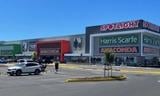 edm-feature-story-spotlight-harrisscarfe-opening
